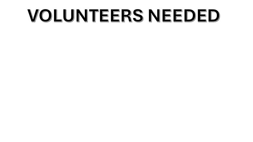volunteers7
